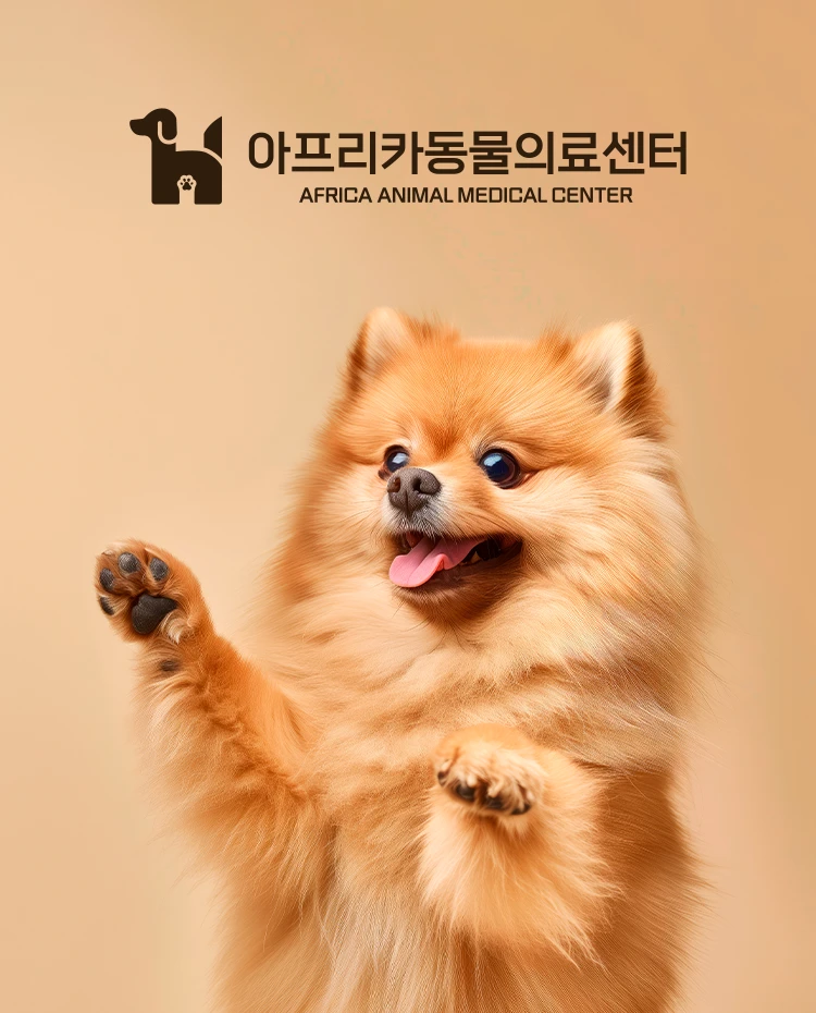 아프리카동물의료센터