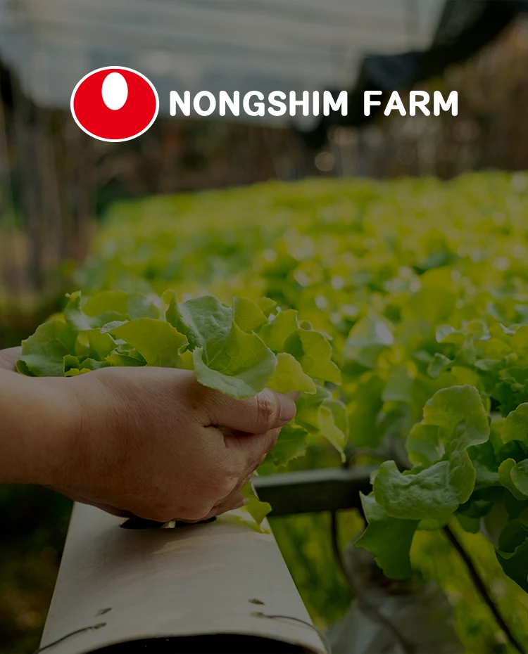 Nongshim Farm